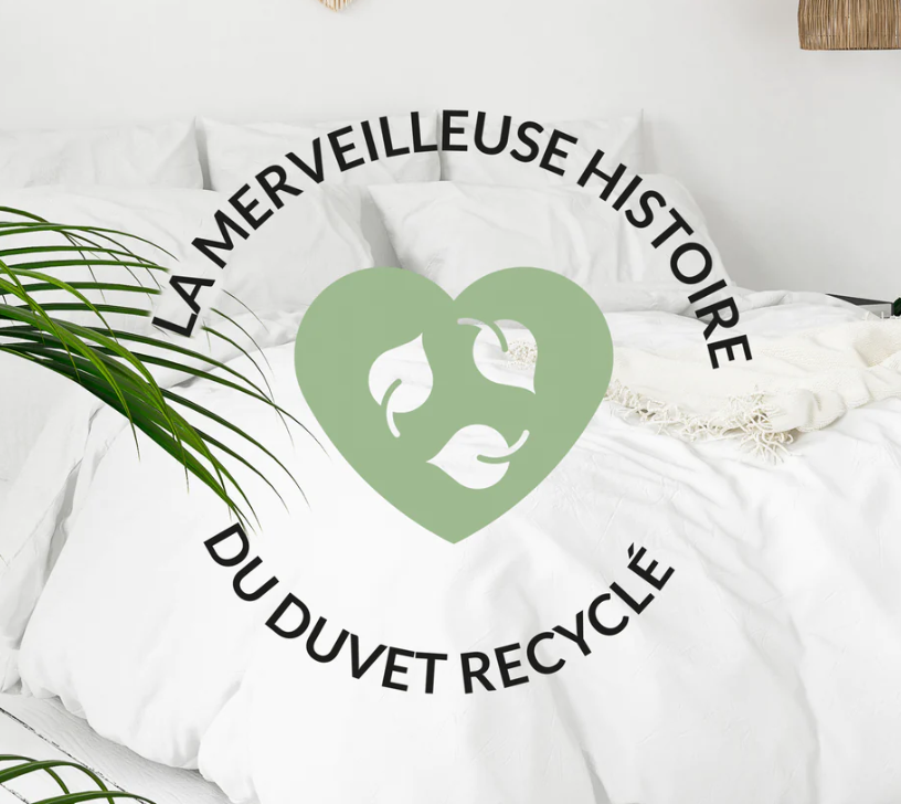 Couette Duvet recyclé - Futon d'or - Matelas naturels