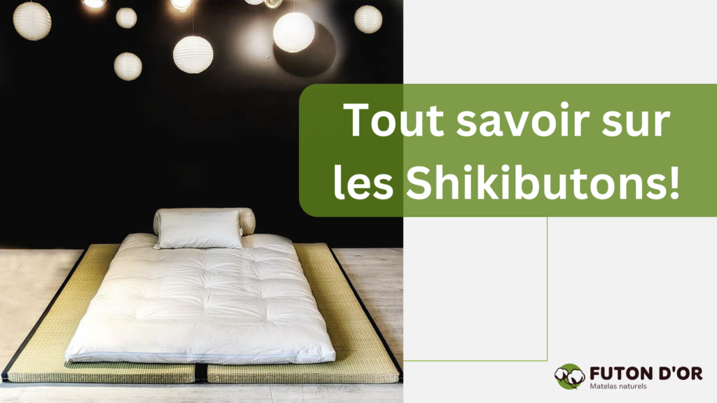 Tout savoir sur les Shikibutons