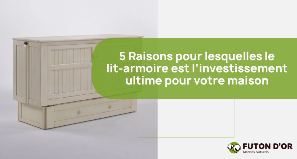 5 Raisons pour lesquelles le lit-armoire est l’investissement ultime pour votre maison