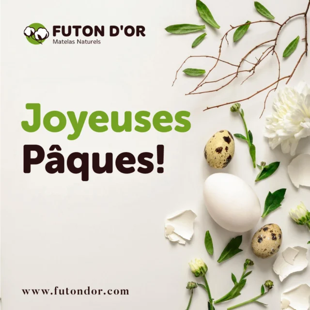 Joyeuses Pâques à toutes et à tous! 🐇💚
Nous serons ouverts lundi de Pâques, mais nous serons fermés dimanche.