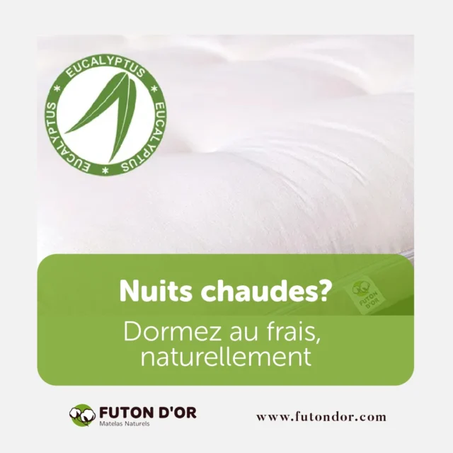 Le retour des nuits chaudes: adapter sa literie aux températures qui montent

Quand les nuits deviennent moites… votre matelas ne devrait pas l’être.

Découvrez nos modèles en eucalyptus : frais, respirants, naturellement anti-acariens. Le confort qui respire, c’est maintenant.

https://www.futondor.com/fr/produit/matelas-soleil-eucalyptus/