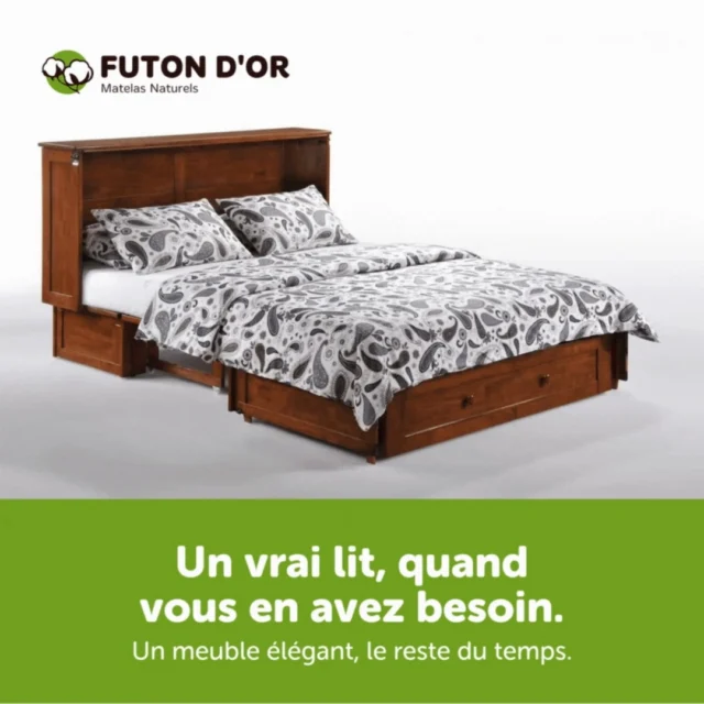 Un lit qui disparaît ? On dit oui.

Les lits-armoires sont faits pour ceux qui veulent un vrai lit... sans le voir toute la journée. Rangement intégré, design compact, et 100 % bois massif.

Magasinez le vôtre en ligne! 
https://www.futondor.com/fr/categorie-produit/matelas-et-lit/meuble-de-chambre-a-coucher/